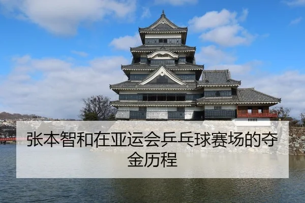 张本智和在亚运会乒乓球赛场的夺金历程