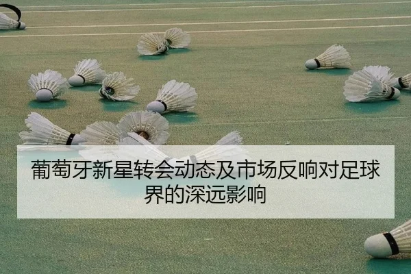 葡萄牙新星转会动态及市场反响对足球界的深远影响